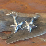 E306 Lone Star Sterling Silver Earrings