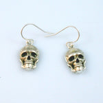 E19 Skull Earrings